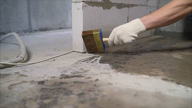 SJ Waterproofing Pros Waterproofing coverage map for Clifford, IN and surrounding area